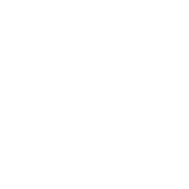 Pravideon Logo